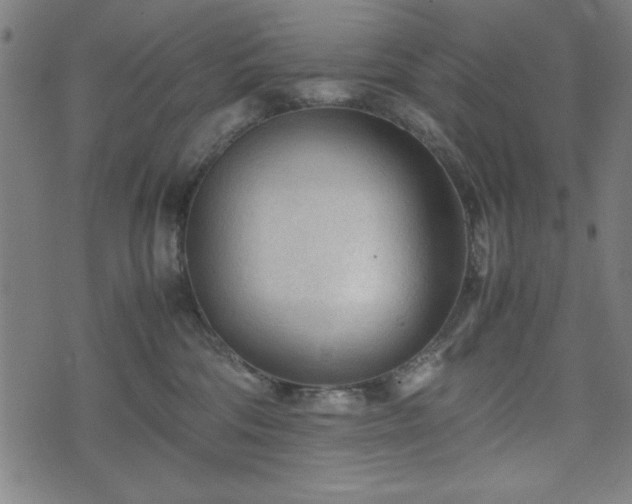 X0000074930330200609081332