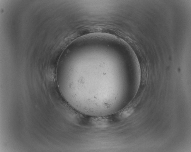 X0000074930331200609081332