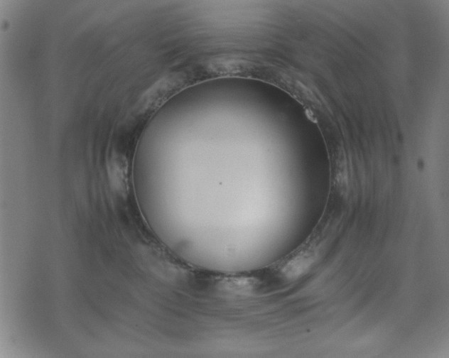 X0000074930332200609081332