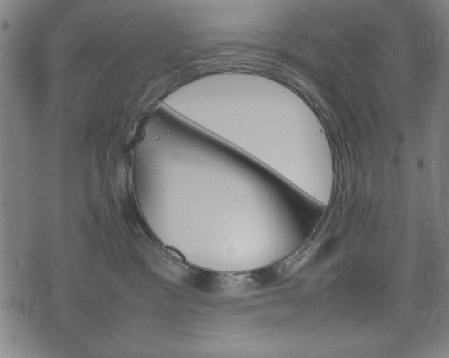 X0000074930333200609081332