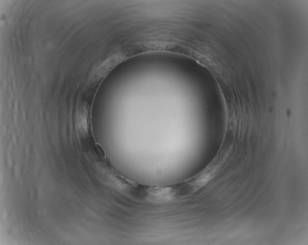 X0000074930334200609081332