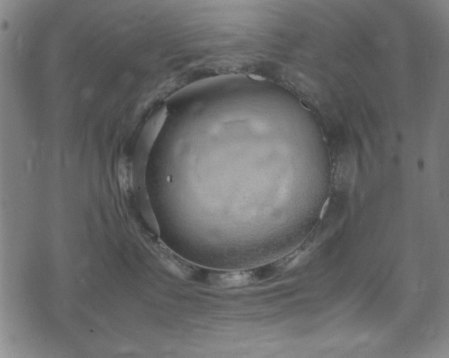 X0000074930335200609081332