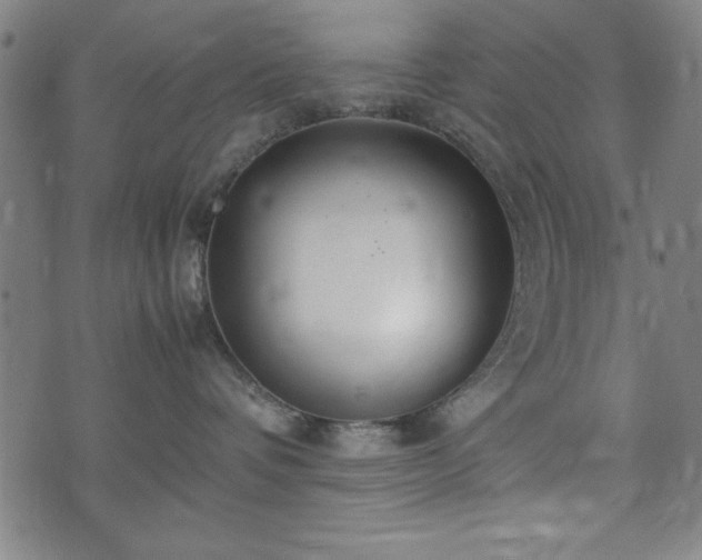 X0000074930336200609081332