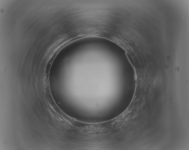 X0000074930338200609081331