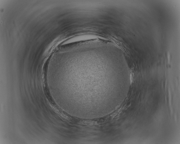 X0000074930339200609081331