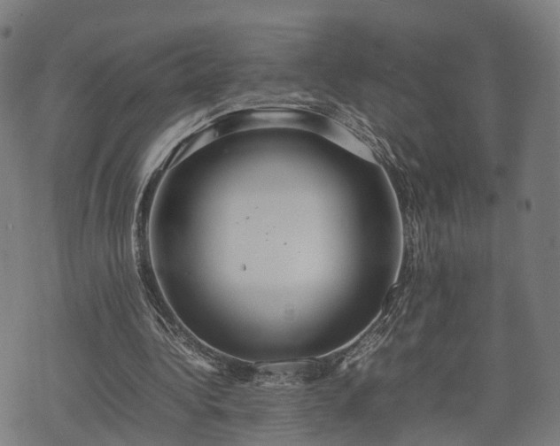 X0000074930340200609081331