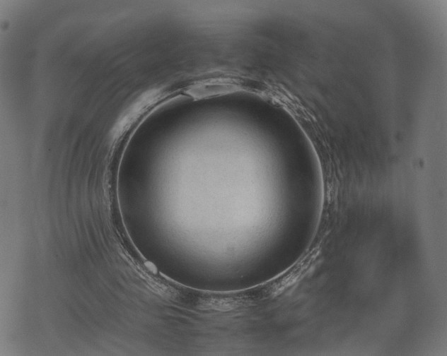 X0000074930341200609081331