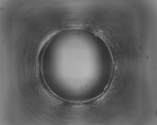 X0000074930342200609081331