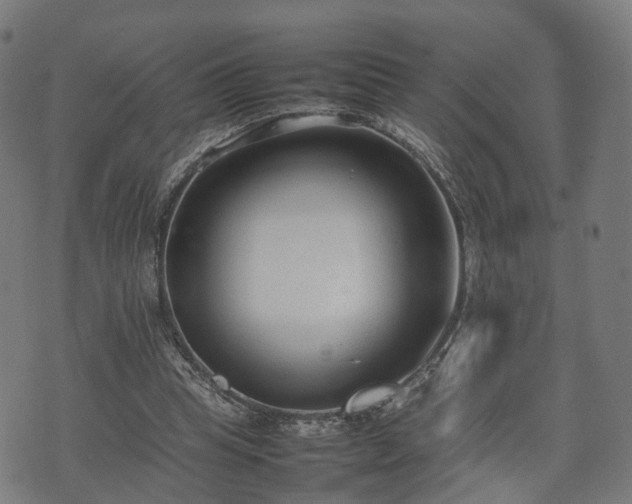 X0000074930345200609081331