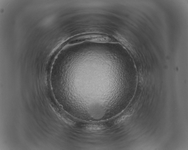 X0000074930347200609081331