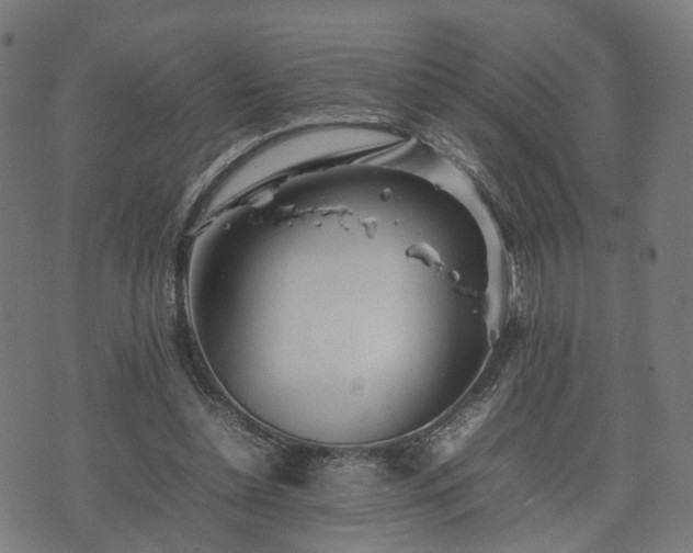 X0000074930348200609081331