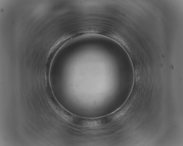 X0000074930349200609081331