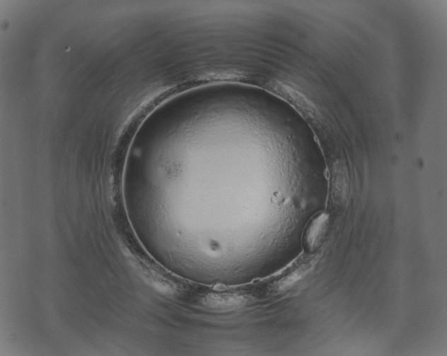 X0000074930351200609081331