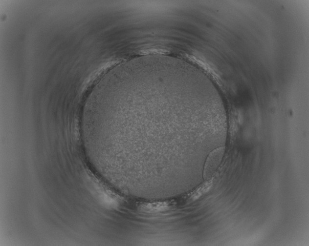 X0000074930353200609081331