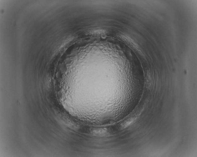 X0000074930355200609081331