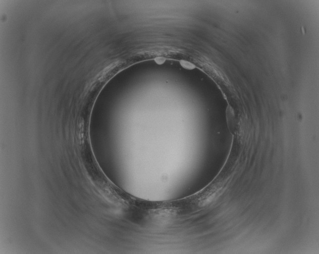 X0000074930356200609081331