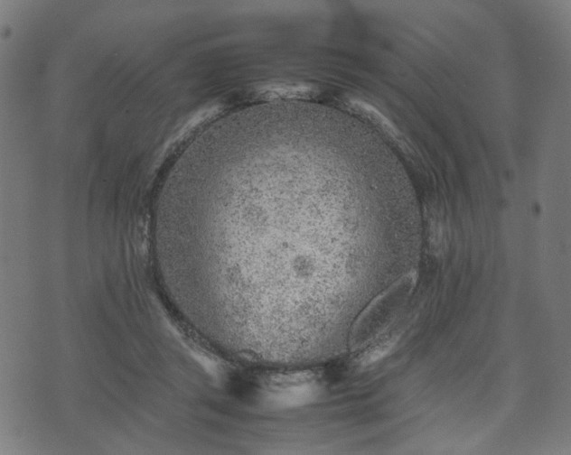 X0000074930357200609081331