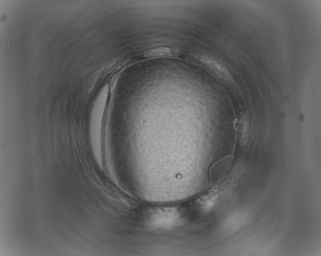 X0000074930361200609081331