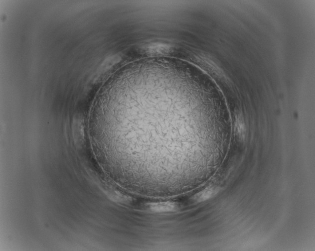 X0000074930363200609081332