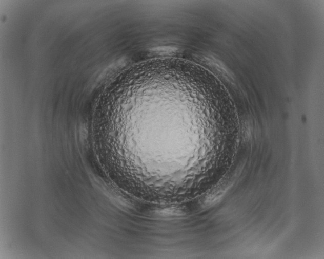 X0000074930365200609081332