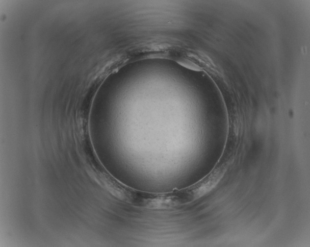 X0000074930366200609081332