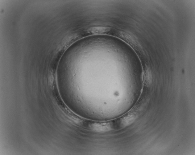 X0000074930367200609081332