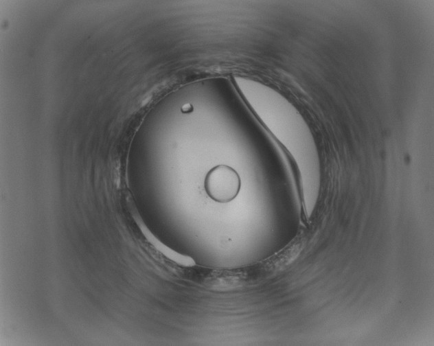 X0000074930368200609081332