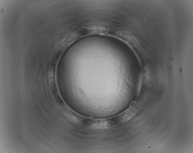 X0000074930369200609081332