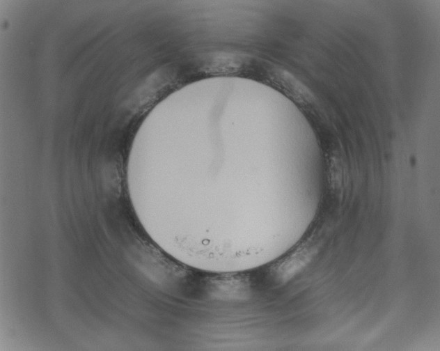 X0000074930370200609081332