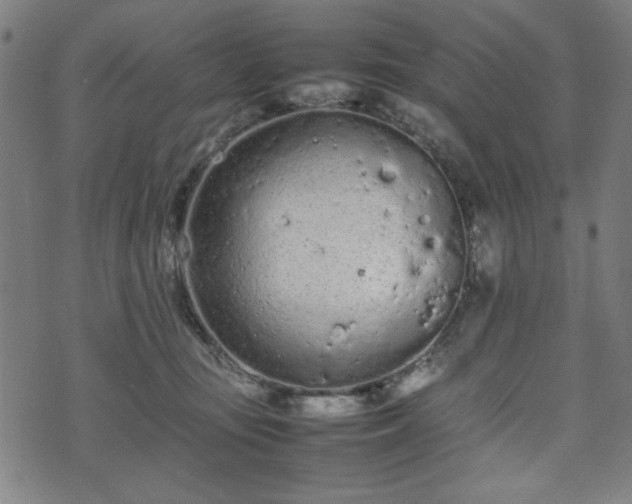 X0000074930371200609081332