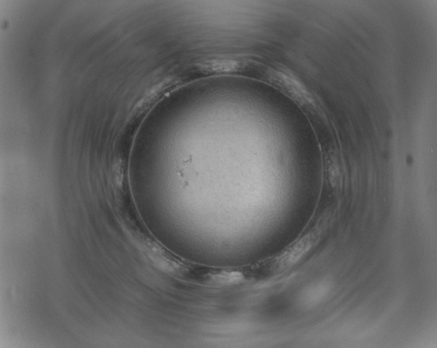 X0000074930374200609081332