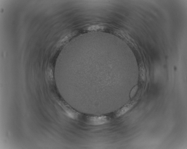 X0000074930375200609081332