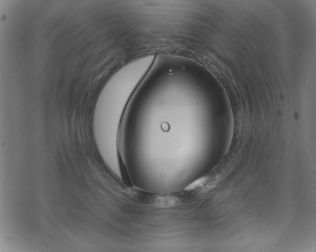 X0000074930376200609081332