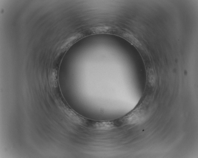 X0000074930378200609081332