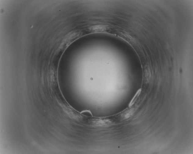 X0000074930379200609081332