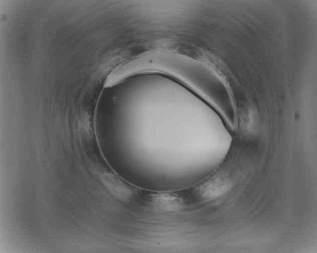 X0000074930380200609081332