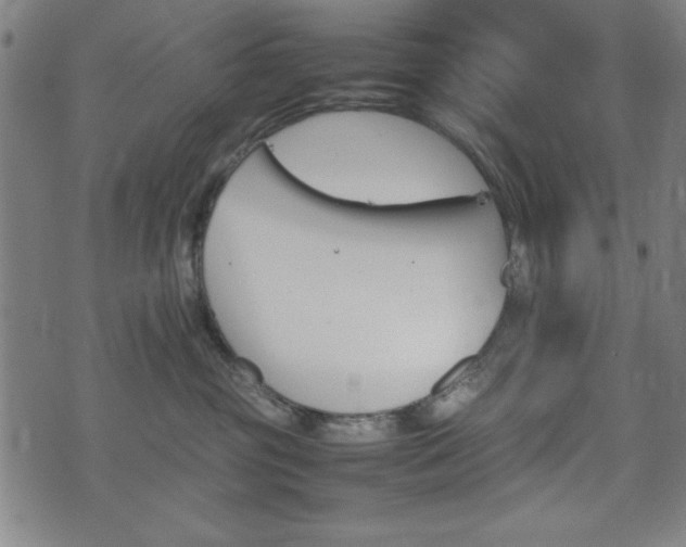 X0000074930381200609081332