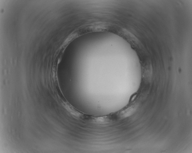 X0000074930382200609081332