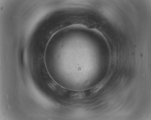 X0000074930383200609081332