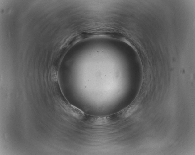 X0000074930384200609081332