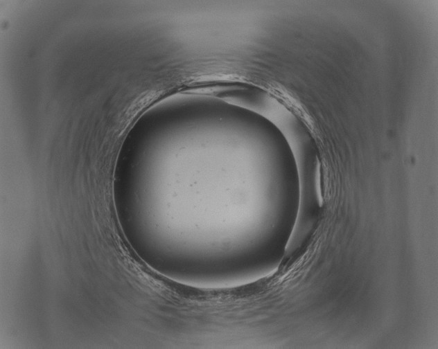 X0000074930385200609081331