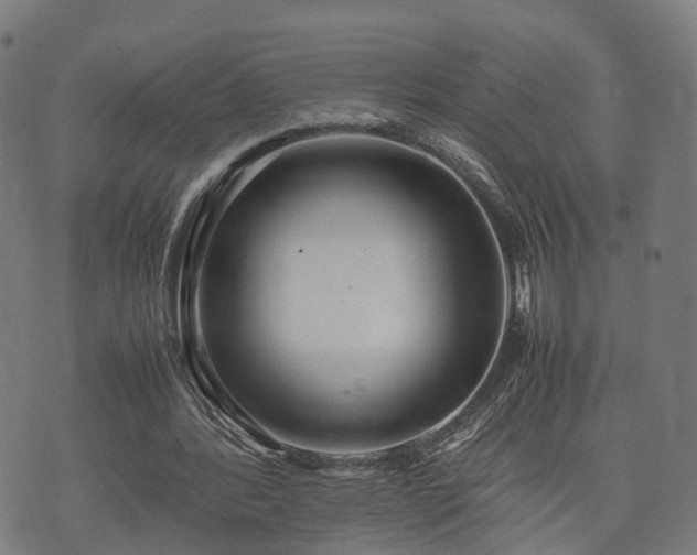 X0000074930388200609081331