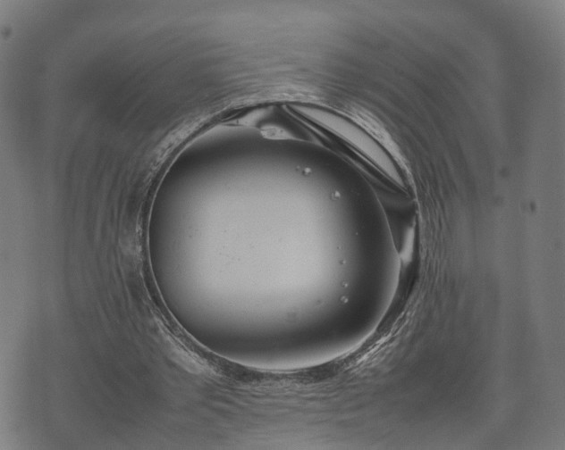 X0000074930389200609081331