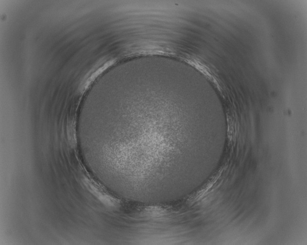 X0000074930390200609081331