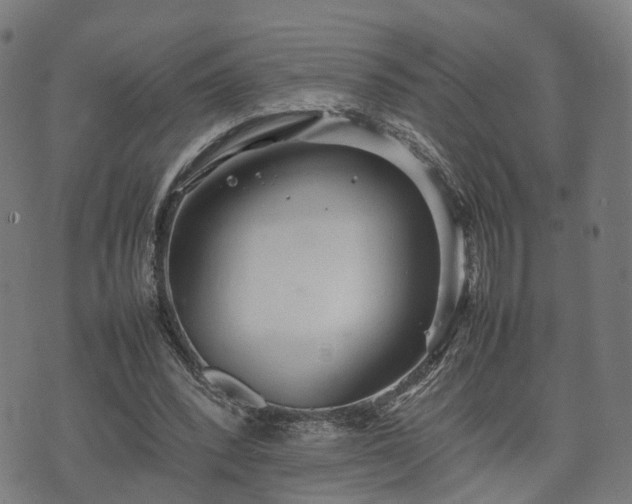 X0000074930392200609081331