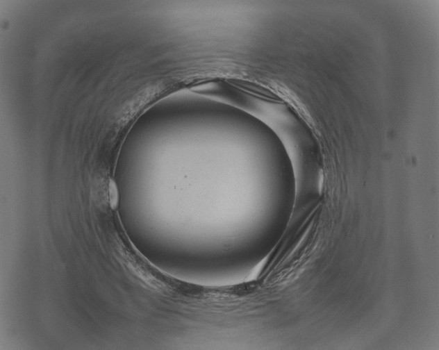 X0000074930393200609081331