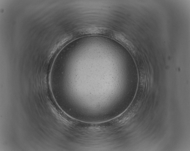 X0000074930394200609081331