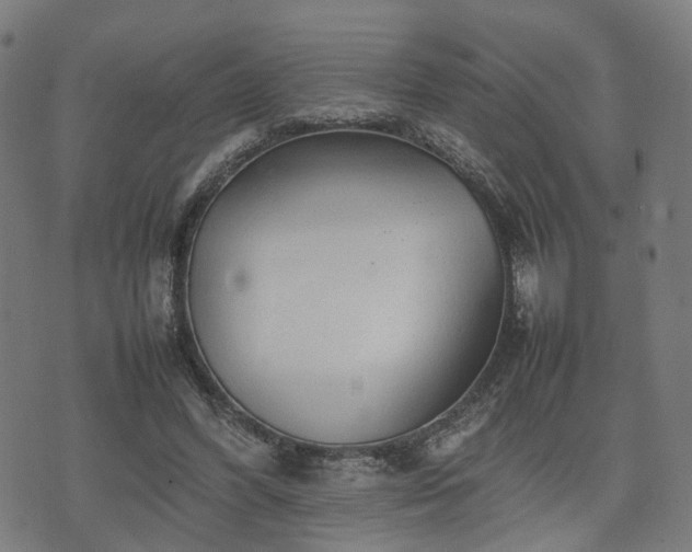 X0000074930396200609081331