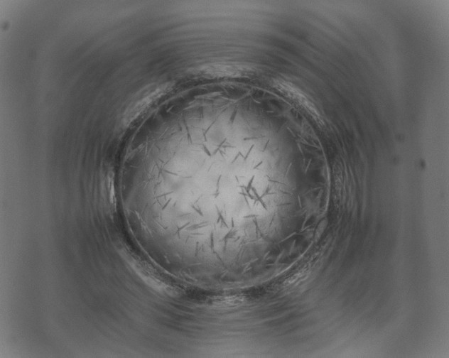 X0000074930398200609081331