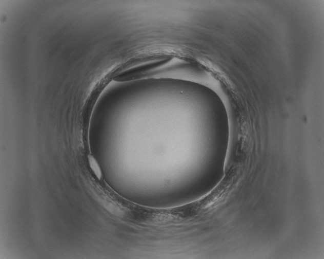 X0000074930399200609081331